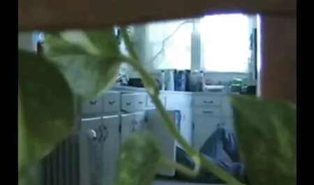Amatőr szep pinak sztriptíz videó Nina ördög